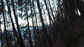 Moonsorrow - Jotunheim (beginning) with forest