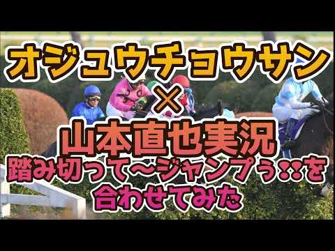 踏み切って～ジャンプぅ～❢オジュウチョウサン✕山本直也実況　GⅠ勝利6Rを合わせてみた　中山大障害　GⅠ