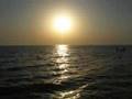 kaZantip 2008 
