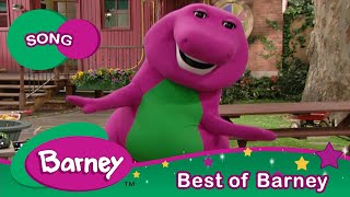 We Love Flying in a Plane | Travel Safety Song | Barney and Friends
