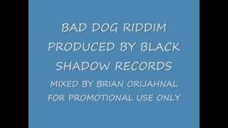 BAD DOG RIDDIM MIX BLACK SHADOW RECORDS