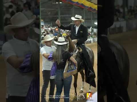 Candela Pura de Villa Nelly, Campeona Joven Trocha Colombiana Copa América Equina 2022