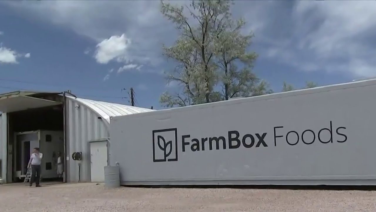 Company turns shipping containers into vertical hydroponic farms