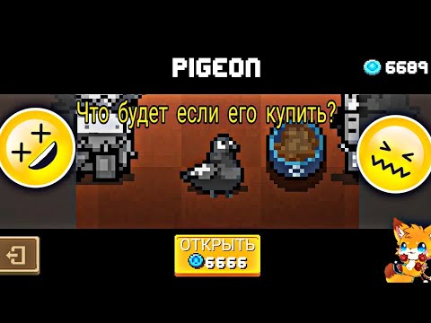 Soul knight что будет если купить нового питомца