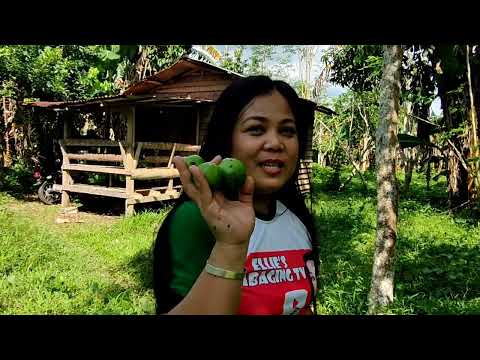 ANO NGA BA GINAGAWA ng mga IDOL PAGWALANG ATAKE?