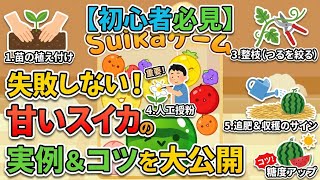スイカゲームの裏側で学ぶ！本物のスイカ栽培マニュアル
