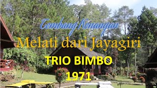 Download lagu MELATI DARI JAYAGIRI mp3