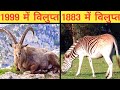 10 Janwar Jo Vilupt Ho Chuke Hain Top Extinct Animal And Bird Species Information In Hindi