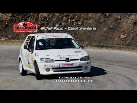 F. Micheli - I. Camoirano - 6° Rally del Reggello 2013