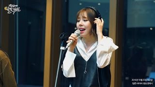 [Moonlight paradise] LADIES' CODE - Jane Doe, 레이디스 코드 - Jane Doe [박정아의 달빛낙원] 20161025