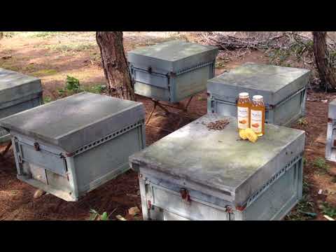 Thành phẩm đóng gói tại cơ sở nuôi ong.