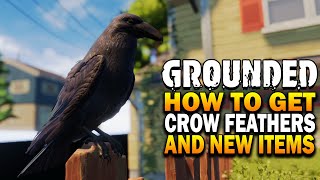 How To Find Bird Feathers & New Items In Grounded Update