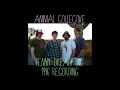 Animal Collective - Penny Dreadfuls (1996 Auto Mine Recording)