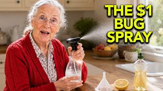 STOP Buying Bug Spray: The $1 Kitchen Mix That Clears Any Room