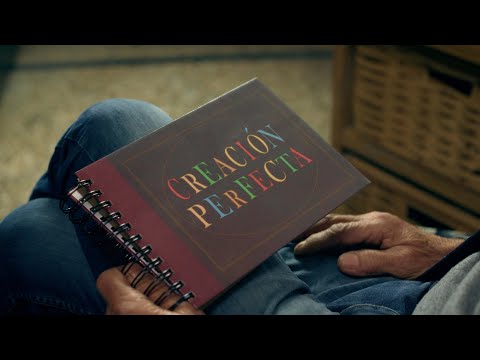 Raíces - Creación Perfecta (official video)