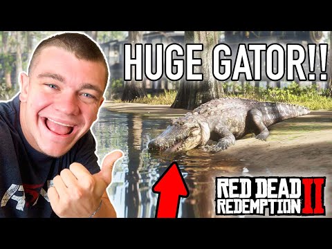 EXPLORING THE EVERGLADES! Red Dead Redemption 2 Pt.14 - Kendall Gray