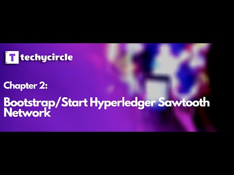 Chapter 2: Bootstrap/Start Hyperledger Sawtooth Network