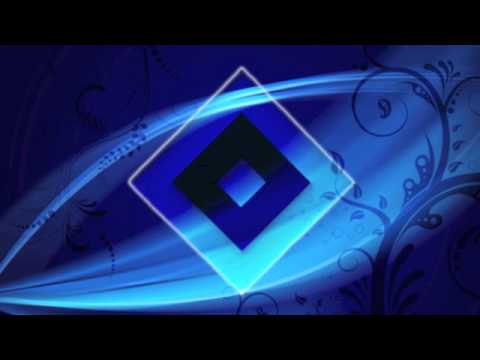 Hamburger SV Torhymne 2013/14 | Stadionversion