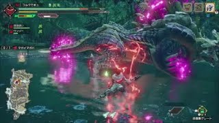 【MHRise】一狩り行く動画