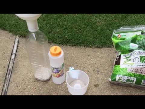 秋の芝生の肥料：いつ、どのように芝生に肥料を与えるのですか？完全ガイド  庭園