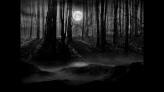 Download lagu Into the Dark by Sebastian Larsson mp3