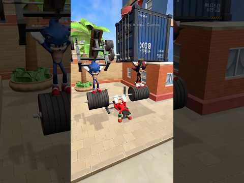 Sonic, Shadow & Knuckles Hit the Gym – But Then the Girls Walk By #sonic #shadow #knuckles #funny
