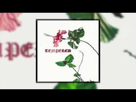 SEANYP - TEMPERED [ Audio ]