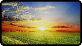 Seelennahrung vs Lichtnahrung – Jenny Solaria