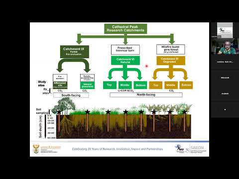 Soil carbon dynamic in Afromontane grasslands (SAEON Seminar, Sept 2024)