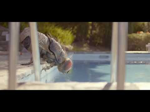 MANDIBULES - Tesaer [VF]