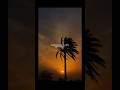 Kesariya Whatsapp Status Arijit Singh Love Status Songlyrics Youtubeshorts Songs Lofi