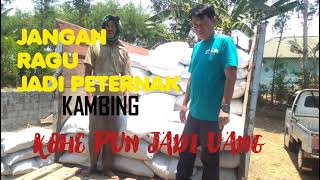 Download lagu JUAL PUPUK ORGANIK 100% KOHE KAMBING FERMENTASI LEMBUT 081334272800 (JGN RAGU JADI PETERNAK KAMBING) mp3