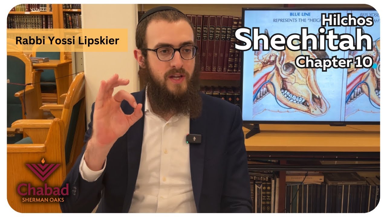Rambam Hilchos Shechitah Chapter 10 • Rabbi Yossi Lipskier