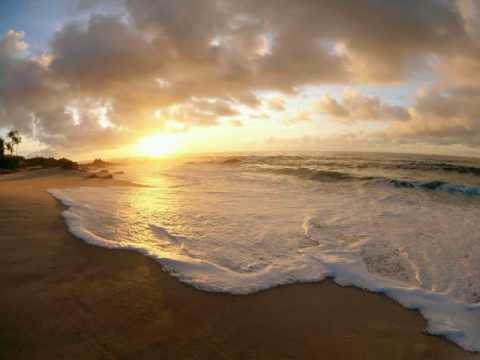 Static Blue - Under The Sea