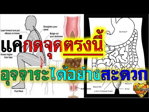 เพิ่ม dumbbells เต้านม เพิ่มขนาดหน้าอกอก 15