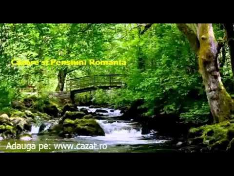 Cazare Bosoteni, Bacau - Cazat.ro