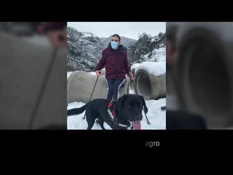 Dr. Pedro Cavadas y Enol Jordán | Mención Especial del Jurado | Premios Dependencia y Sociedad 2021