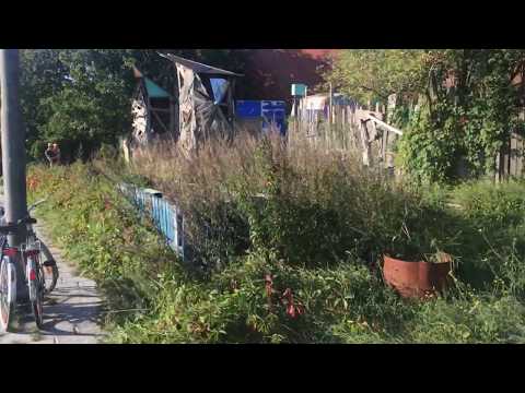 Forward fever ft ras cloud - into the dub zone ) @ 50 years of Music Mania (b) 210919