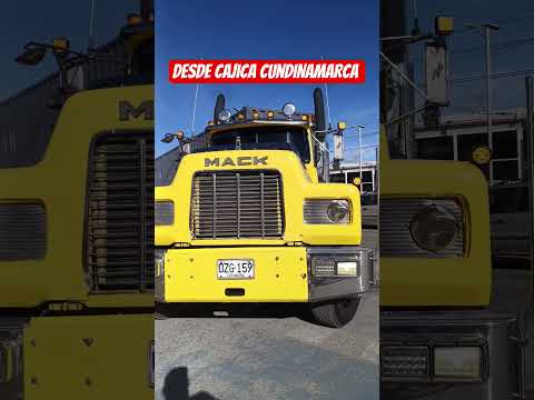 desde cajica Cundinamarca #viralvideo #musica #trailer #donomar #reggaeton