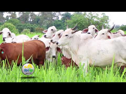 Rio4agro programa 1 03 bloque 1