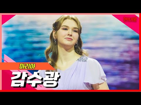 [클린버전]마리아 - 감수광｜현역의노래240227