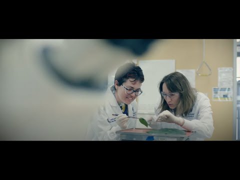 We dare to imagine at the Institute for Molecular Bioscience