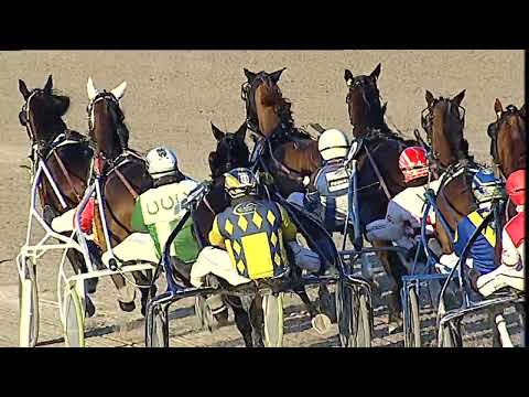Napoli Trotto 05/02/2023 - 6ª corsa