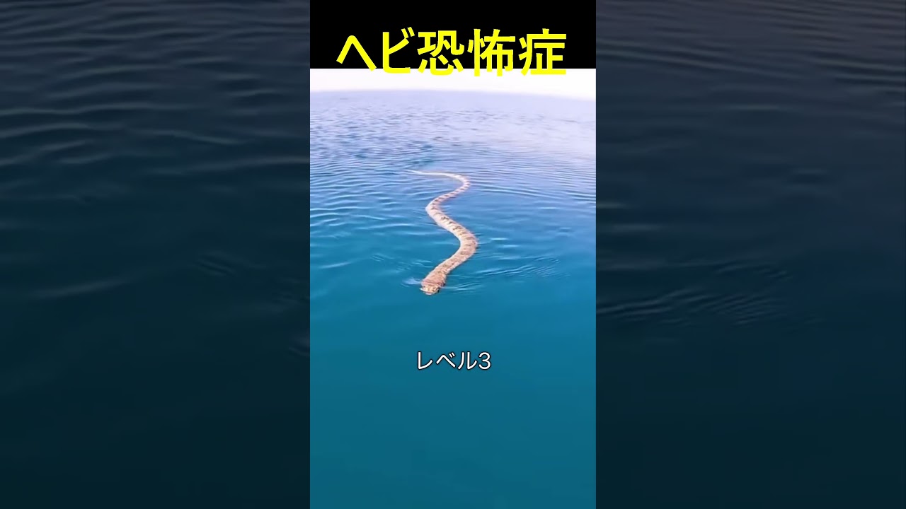 ヘビのうるうるがきもい！