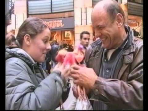 FradeWo: Wollen Sie mit uns spielen?