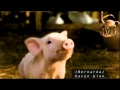 Charlotte S Web Video Description And Captions In Spanish By Dicapta