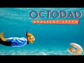 Nobody Suspects a Thing! | Octodad: Dadliest ...