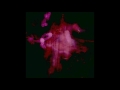 The Legendary Pink Dots - Bella Donna (live)