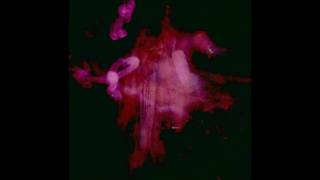 The Legendary Pink Dots - Bella Donna (live)