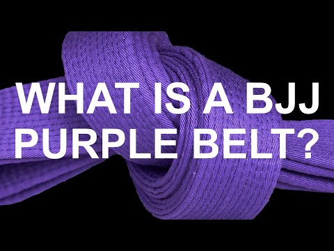 What is a BJJ Purple Belt?
